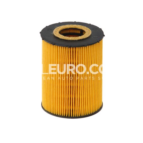 Hengst Engine Oil Filter 11427542021 E203H04 D67